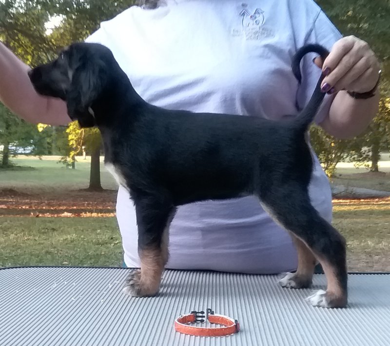Orange Girl 6 Weeks.jpg - 1661 K